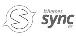 Port Elizabeth Website Design port elizabeth website design ithemes-sync