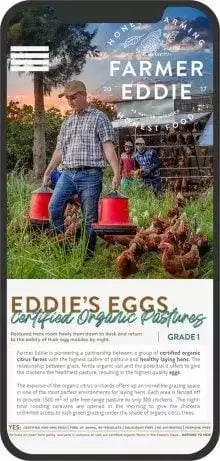 mobile-friendly-web-design